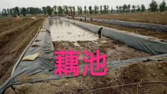 150g批發(fā)土工布價格是多少