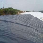 100g綠色土工布表