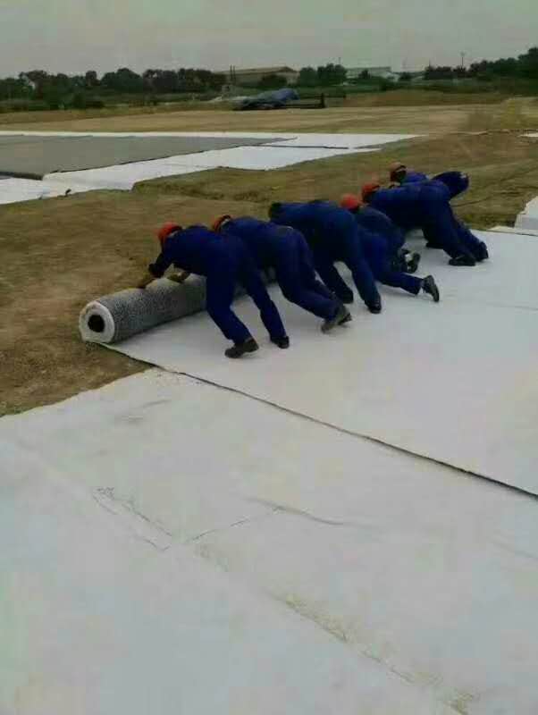 03mm池塘防滲膜價格