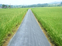 100g生產(chǎn)土工布多少錢(qián)