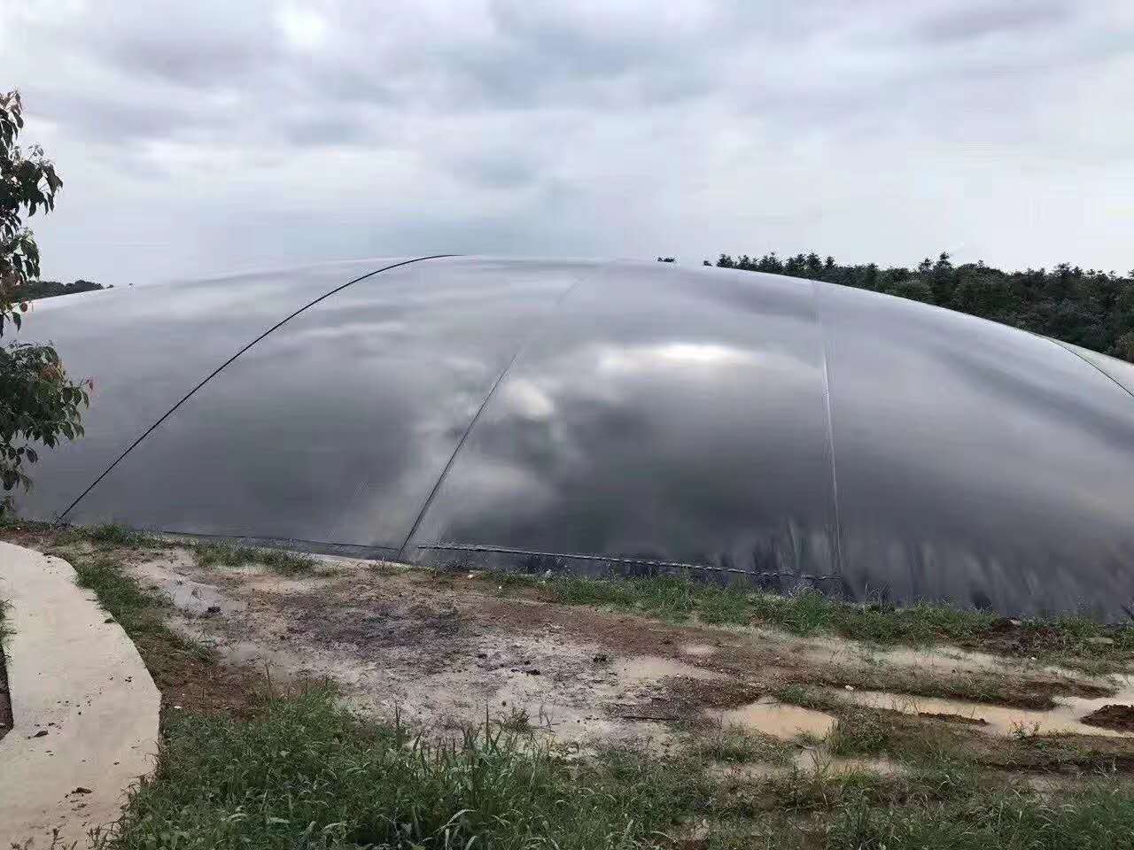 垃圾場(chǎng)土工膜多少錢