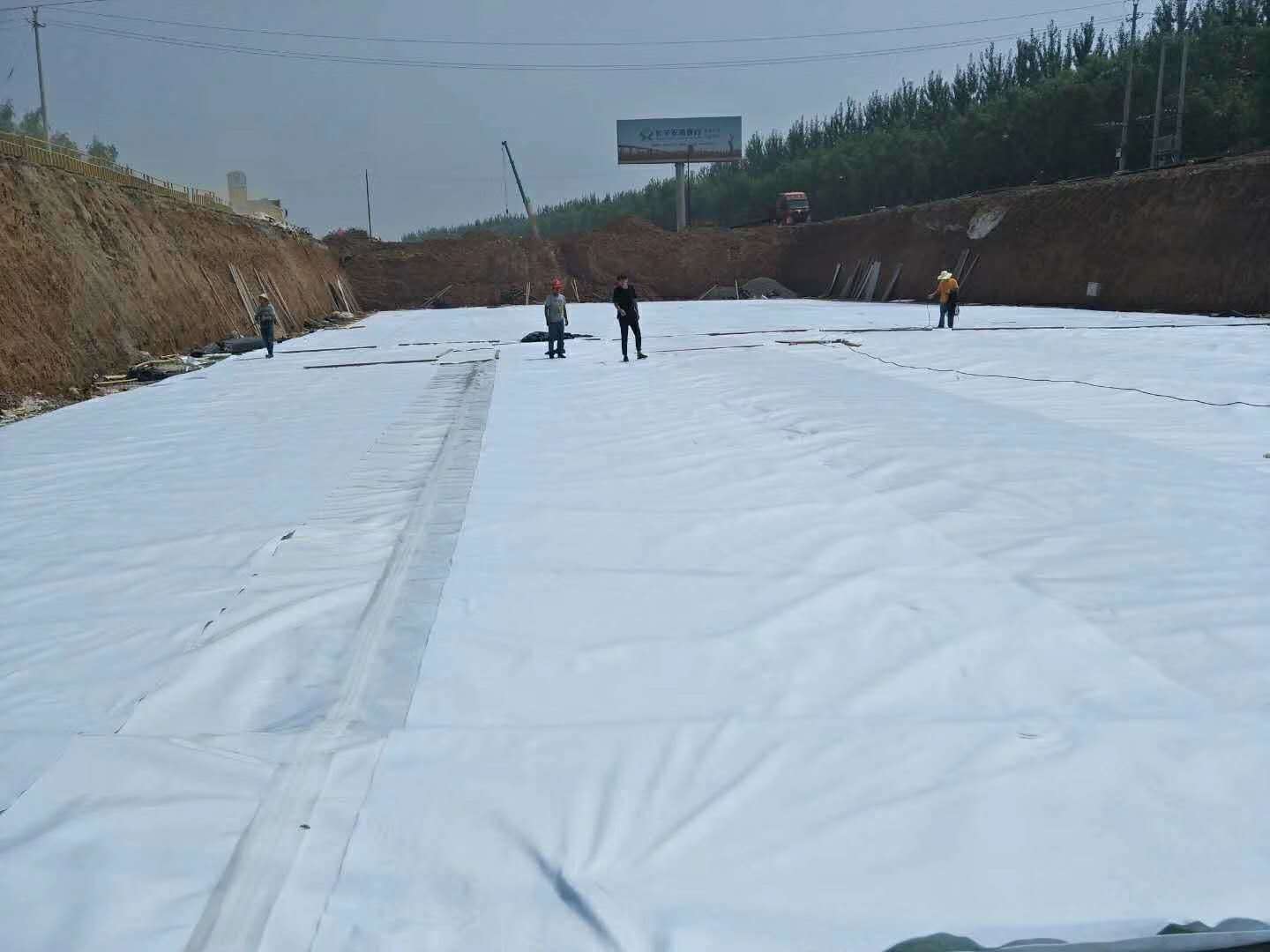 綠化毯